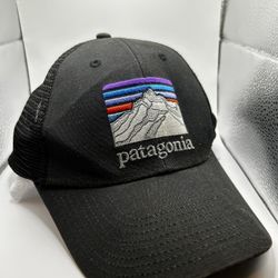 Patagonia Snapback Hat