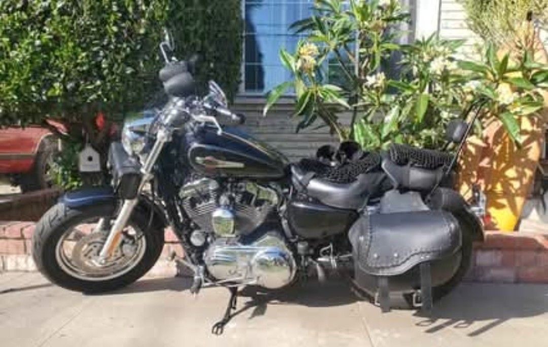 2014 Harley Davidson Sportsters 1200