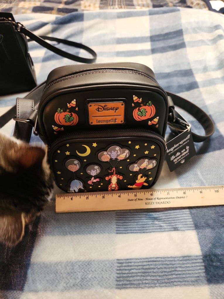 Disney Halloween back Pack and wallet