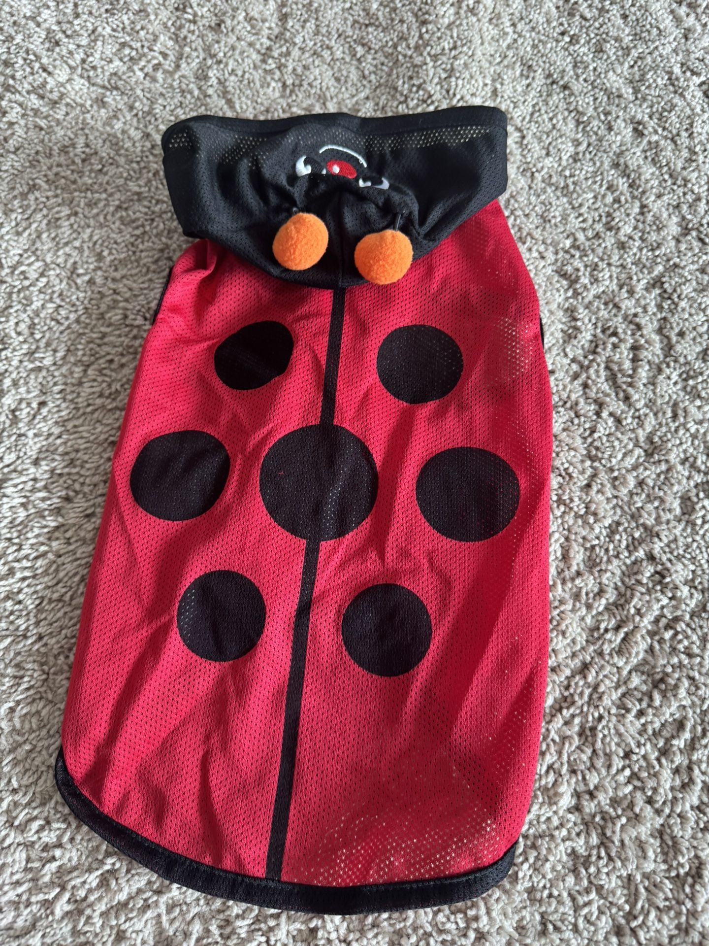 Small Dog Ladybug Outfit β Size XL π