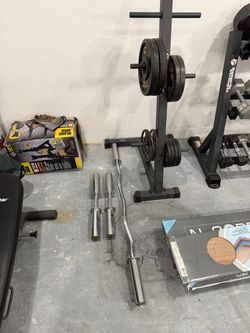 Weight Plate Tree, Weight Plates, E-Z Bar, and Olympic Dumbbells