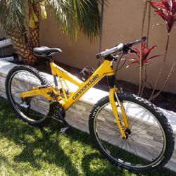 Cannondale Mountain bike Rare 
