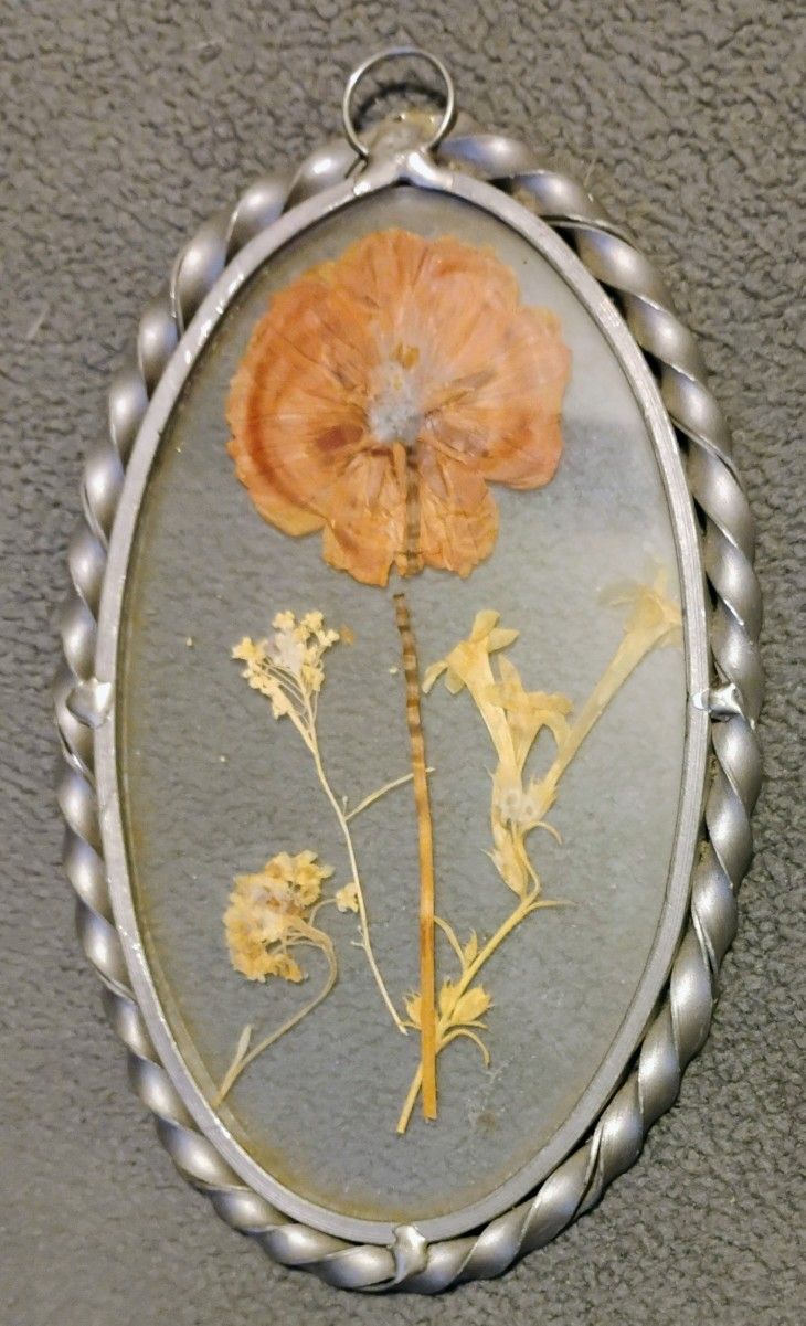 Lasting Impressions Pressed Flowers In Glass With Pewter Frame