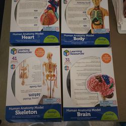 Human Anatomy Set Bundle