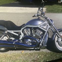 2002 Harley Davidson V ROD 