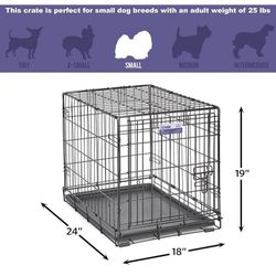 Brand New Dog Essentials 