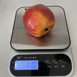 Digital Kitchen Scale and Food Scale