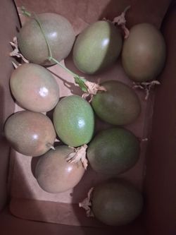 Passion Fruits