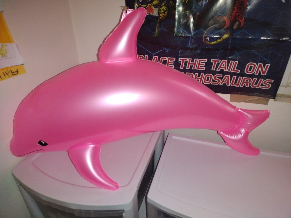 Free!! Dolphin Toy From The OC fair 