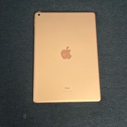 Apple iPad 8th Gen Rose Gold 
