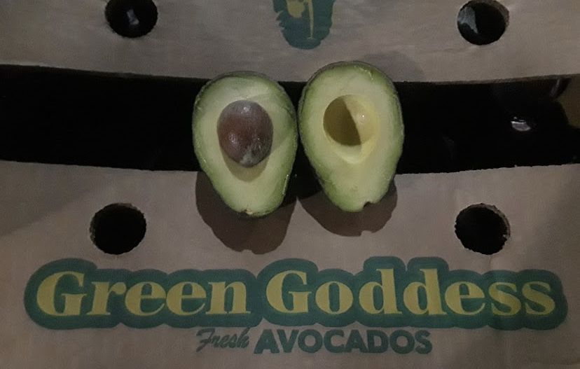 Avocado/Aguagate