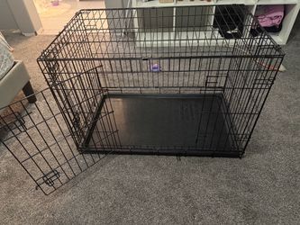 Large dog crate
