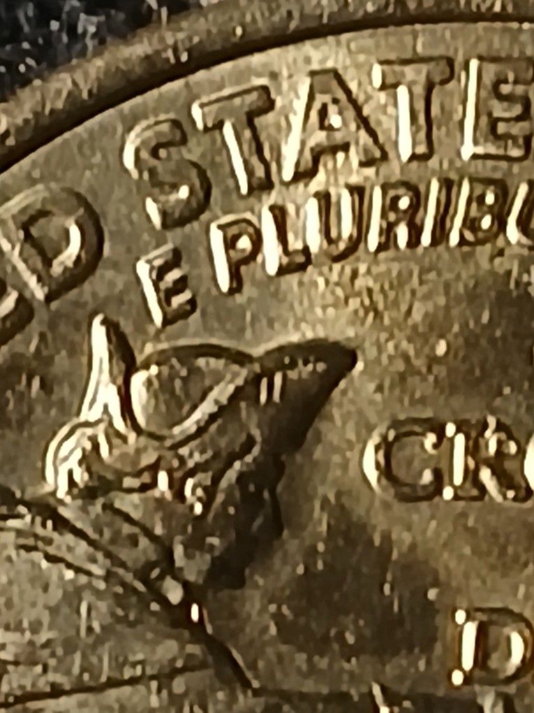 Crossing Of The Delaware State Quarter