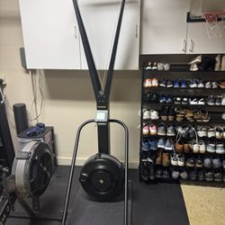 Wall Mounted Ski Erg with PM5
