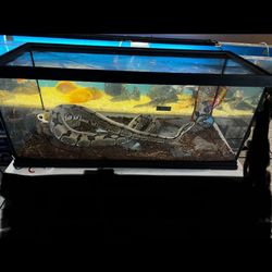 25 Gallon Reptile Terrarium 