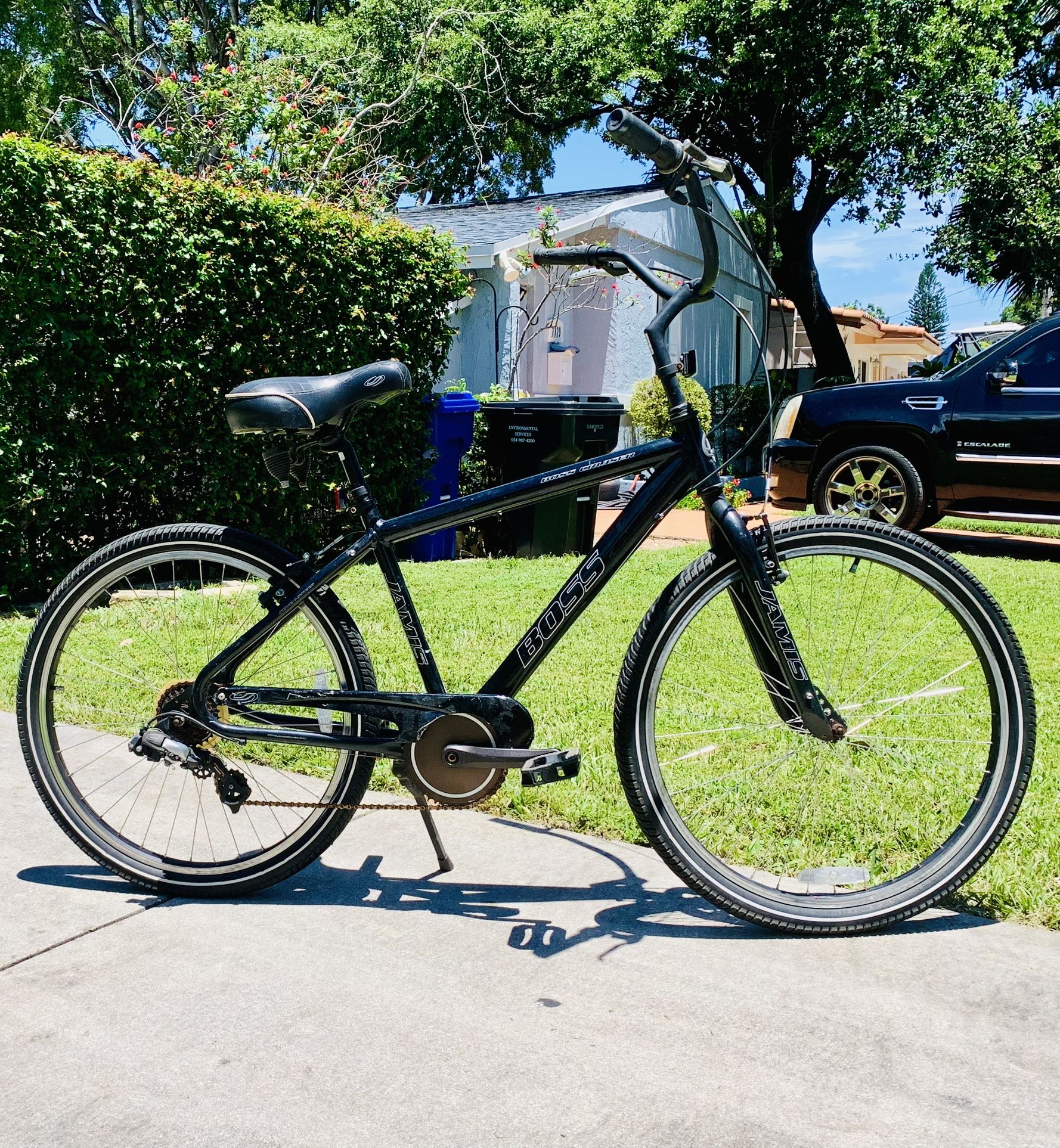 Beach Cruiser Boss Aluminum Adult Large 7 Speed ……
