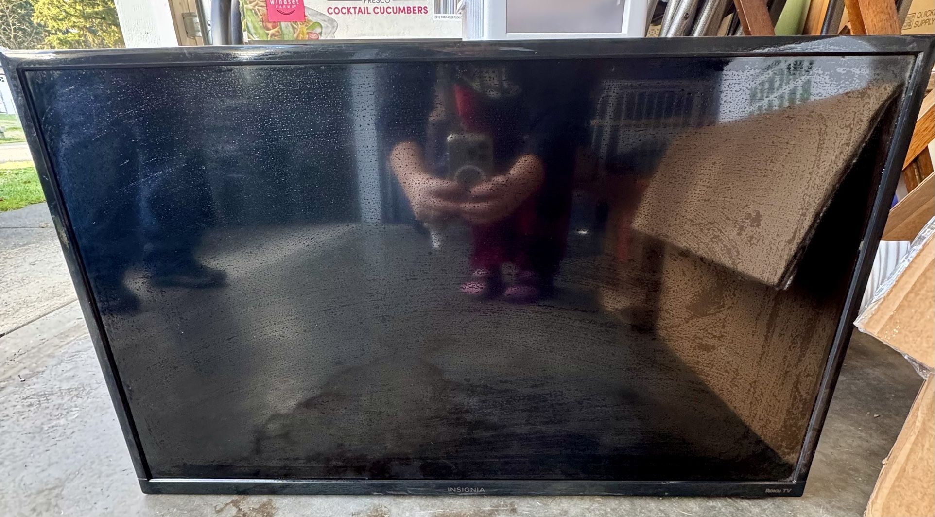 Insigna 32 Inch TV with Roku