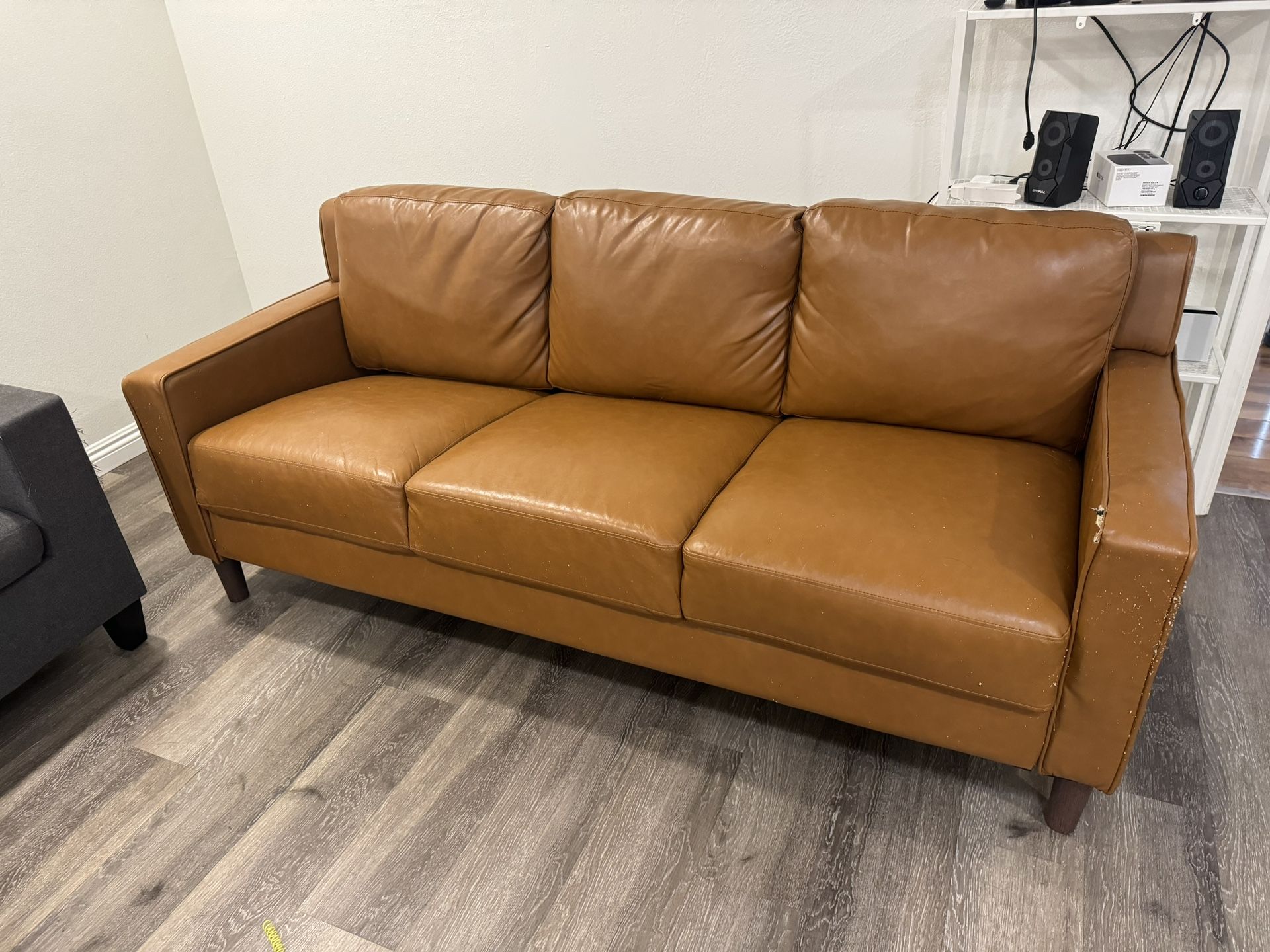 Leather Couch 