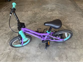 Guardian 14” Bike