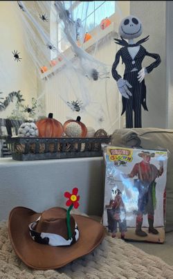 Rodeo Clown Costume