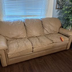 Couch & Loveseat 