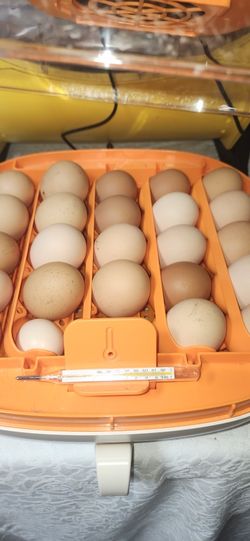 Use De Imagination USE LA IMAGINATION