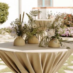 Studio Bud Vases (6)