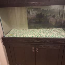 Large Fish Tank