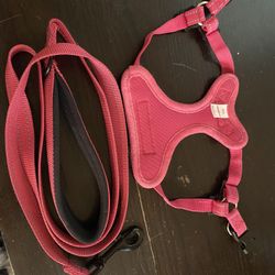 Voyager Dog Harness And leash