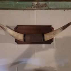 Bull Horns