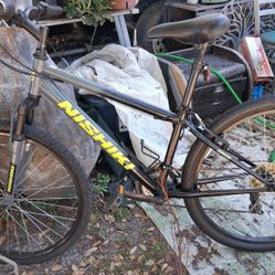 Nishiki Mountain Bike