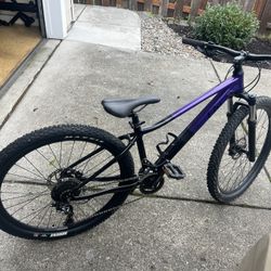 Girls Giant Liv Mountain Bike Sm 