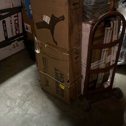 Major Fitness Weight Bench