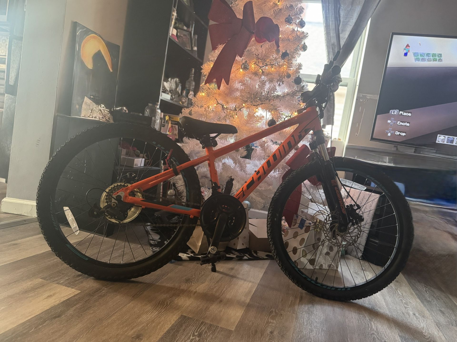 Schwinn Bicycle Orange
