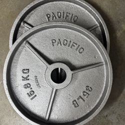 Pair Of 35 Pound Olympic Weights 