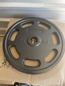 45lbs Weight Plate Pairs