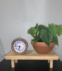 Desk Shelf/ Plant Shelf