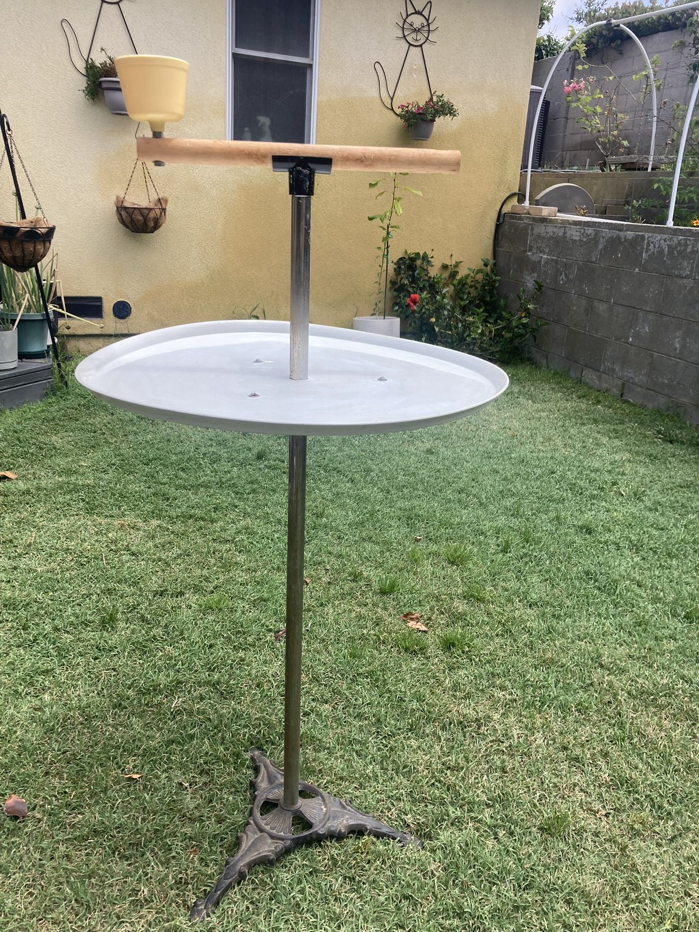 Bird Stand