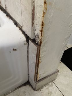 Tile Mold Removal 