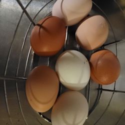Eggs