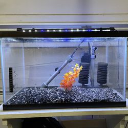 10 Gallon Aquarium Fish Tank Set