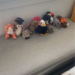 Beanie Babies! 