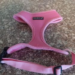 Pet Harness 