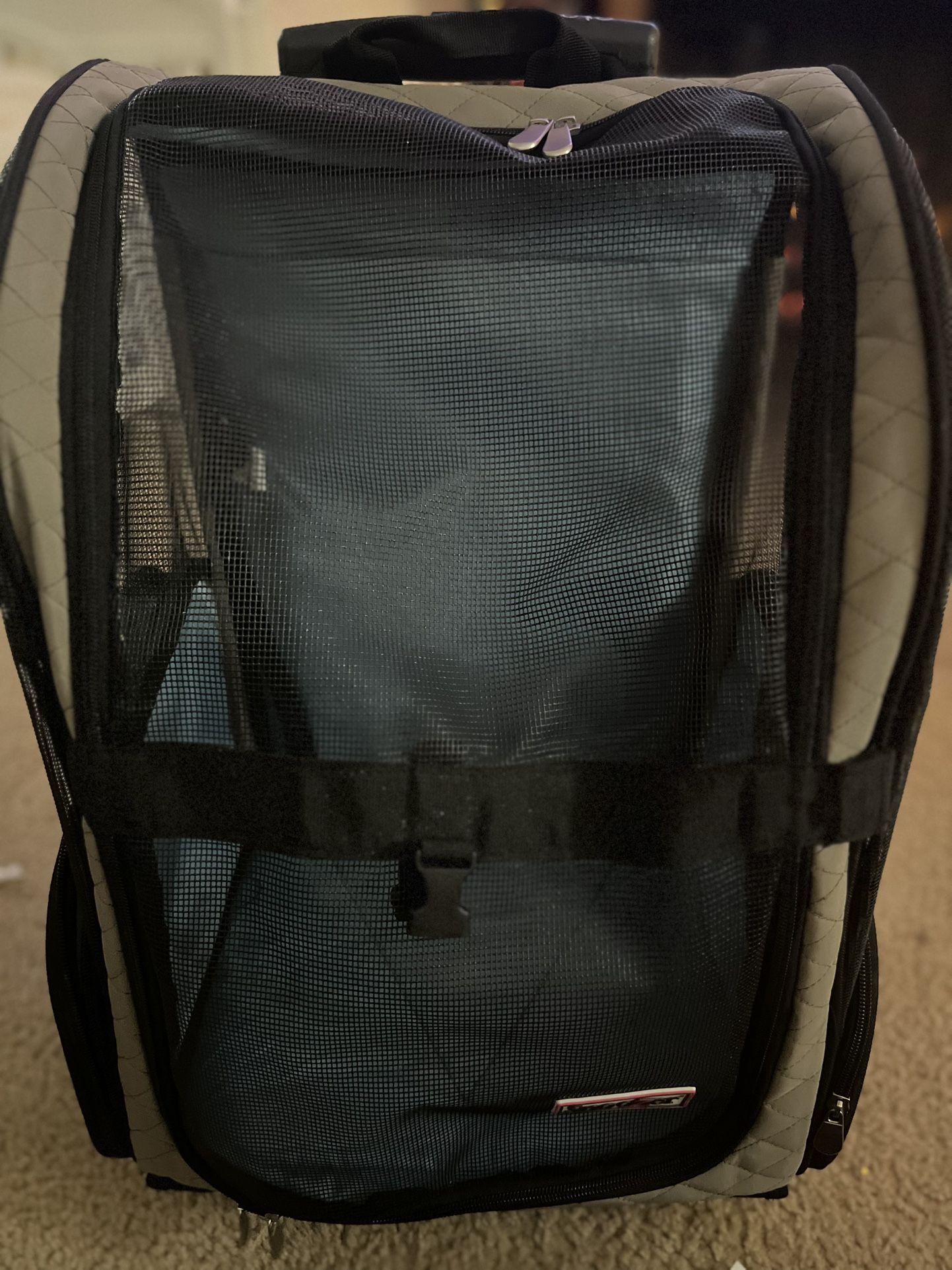 Dog Stroller