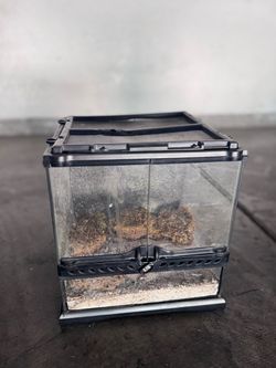 Exo Terra Glass Terrarium