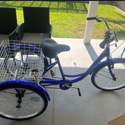Adult tricycle