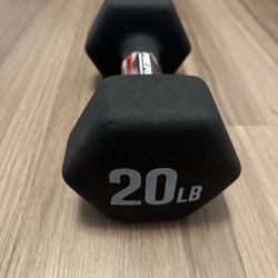 20lb dumbell single 