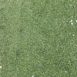 Turf/ Putting Green 