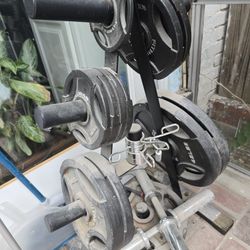 Bench Press, Barbell, Weights + Pull Up Bar