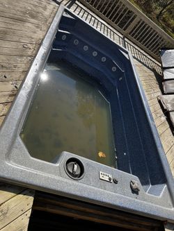 Swim Spa